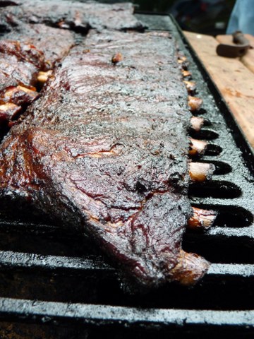 ribs